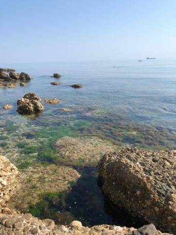 Piazza Verdi B&B Vasto Bagian luar foto